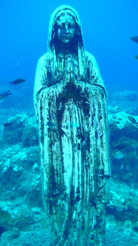 Original image